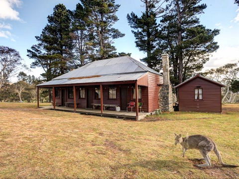 The Pines Cottage - Accommodation BNB 0