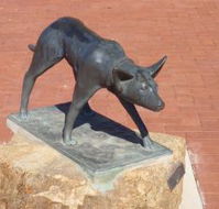 The Ardlethan Kelpie Caravan Park - Accommodation BNB