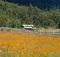Pender Lea Alpine Guest Accommodation - Accommodation BNB