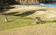 Creel Lodge - thumb 13