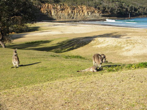 Creel Lodge - Accommodation BNB 13