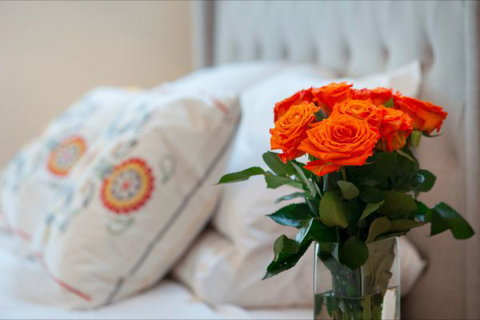 The Nest At Gundaroo - Accommodation BNB 0