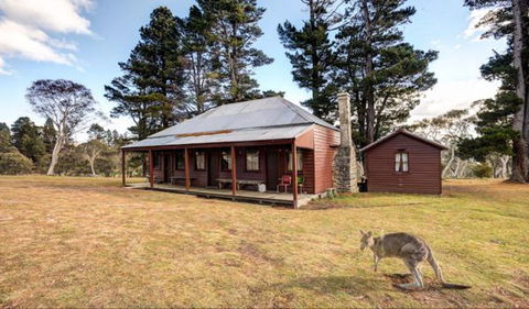 The Pines Cottage - Accommodation BNB 1