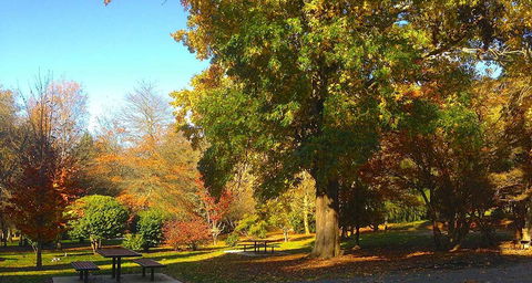 Eastern Dandenong Ranges Visitor Information Centre - Accommodation BNB 1