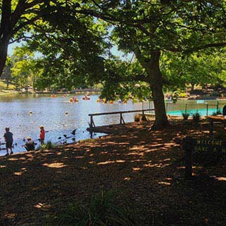 Eastern Dandenong Ranges Visitor Information Centre - Accommodation BNB 4