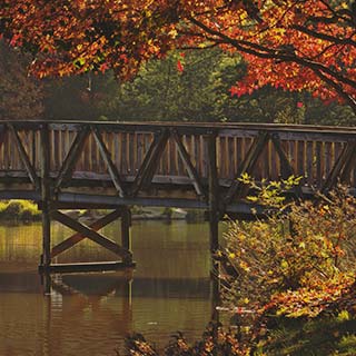 Eastern Dandenong Ranges Visitor Information Centre - Accommodation BNB 6