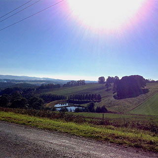 Eastern Dandenong Ranges Visitor Information Centre - Accommodation BNB 9