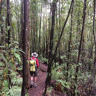 Eastern Dandenong Ranges Visitor Information Centre - Accommodation BNB 11