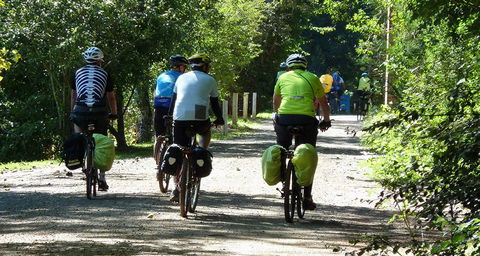 Eastern Dandenong Ranges Visitor Information Centre - Accommodation BNB 13