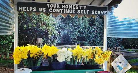 Eastern Dandenong Ranges Visitor Information Centre - Accommodation BNB 15