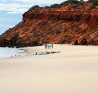 Herald Bight Camp at Francois Peron National Park - Accommodation BNB