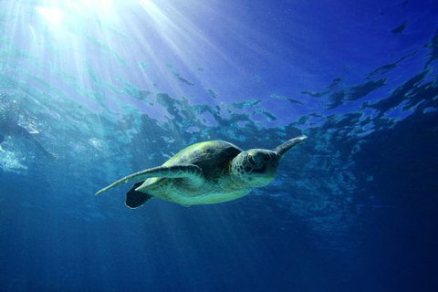 Mackerel Islands - Accommodation BNB 6