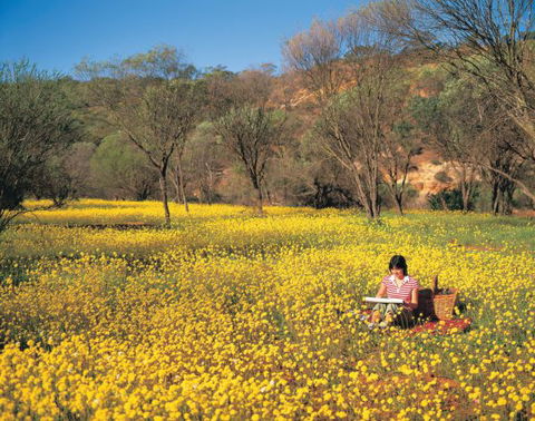 Miners Camp At Coalseam National Park - Accommodation BNB 0