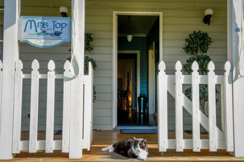 Mrs Top At Milton Bed And Breakfast - Accommodation BNB 1