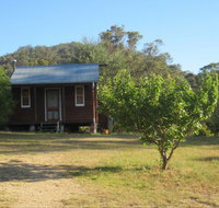 Peach Tree Cabin - Accommodation BNB
