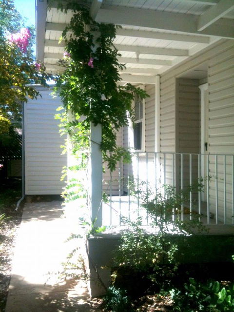 Wisteria Cottage - Accommodation BNB 0