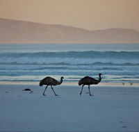 Thomas River Shire Reserve Camp at Cape Arid National Park - Accommodation BNB