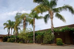 Darling Junction Motel - Accommodation BNB 2