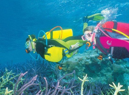 Njoy Travellers Resort - Accommodation BNB 1