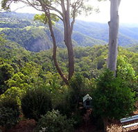 Mt Tamborine Motel - Accommodation BNB