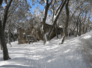 Akla Ski Lodge - Accommodation BNB