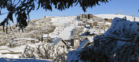 Alpine Ridge Lodge - Accommodation BNB