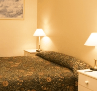 Best Western Abel Tasman Airport Motor Inn - Accommodation BNB