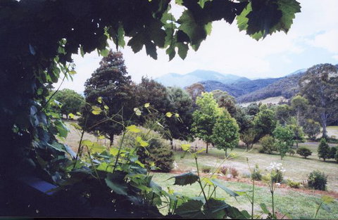 Springfield Cottage Bed & Breakfast - Accommodation BNB 1