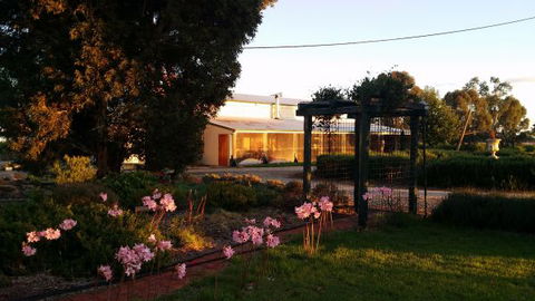 Angas Plains Wines Suites - Accommodation BNB 2