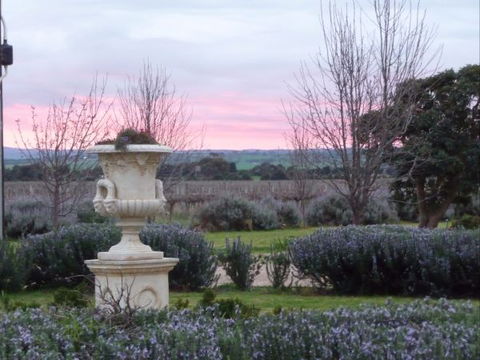 Angas Plains Wines Suites - Accommodation BNB 3
