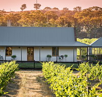 Brockenchack Vineyard Bed  Breakfast - Accommodation BNB