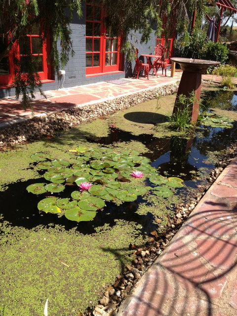 Artrocks Artist Retreat & Accommodation - Accommodation BNB 0