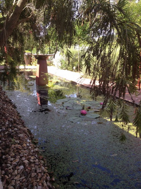 Artrocks Artist Retreat & Accommodation - Accommodation BNB 1