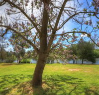 Breakaway Twin Rivers Caravan Park - Accommodation BNB