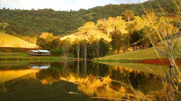 Ogunbil NSW Accommodation BNB