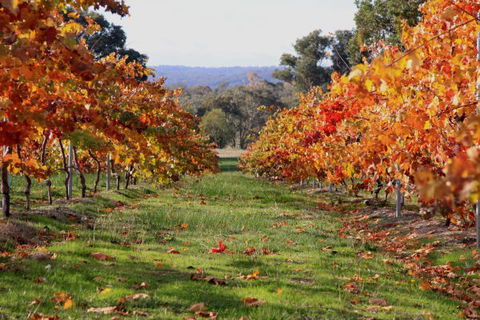 Candlebark Retreat - Accommodation BNB 2