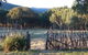 Candlebark Retreat - thumb 3