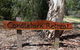 Candlebark Retreat - thumb 4
