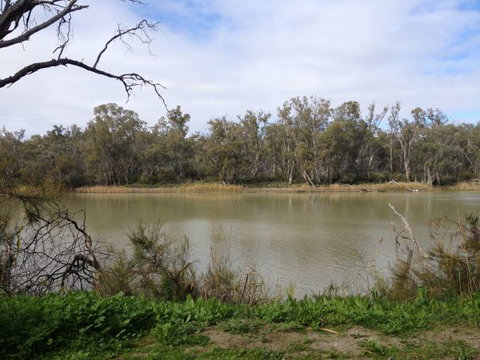 Chowilla Station Shearer's Quarters Accommodation - Accommodation BNB 1