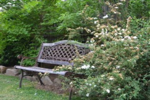 Garden Cottage B And B - Accommodation BNB 4