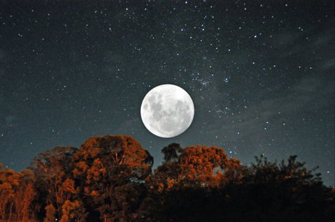 Granite Belt Brewery Retreat - Accommodation BNB 9