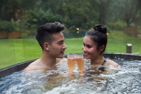 Japanese Mountain Retreat Mineral Springs & Spa - Accommodation BNB 3