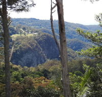 Mt Tamborine Motel - Accommodation BNB