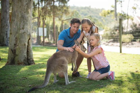 Paradise Country Farmstay - Accommodation BNB 7