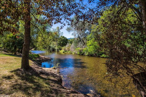 Porepunkah Bridge Holiday Park - Accommodation BNB 5