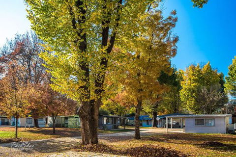 Porepunkah Bridge Holiday Park - Accommodation BNB 8