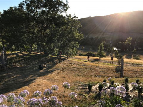 Shearer's Hill - Luxury Farm Stay - Accommodation BNB 9