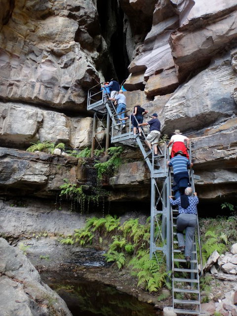 Takarakka Bush Resort Carnarvon Gorge - Accommodation BNB 0