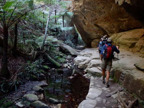 Takarakka Bush Resort Carnarvon Gorge - Accommodation BNB 6