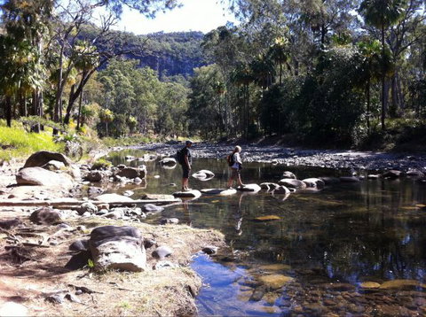 Takarakka Bush Resort Carnarvon Gorge - Accommodation BNB 9